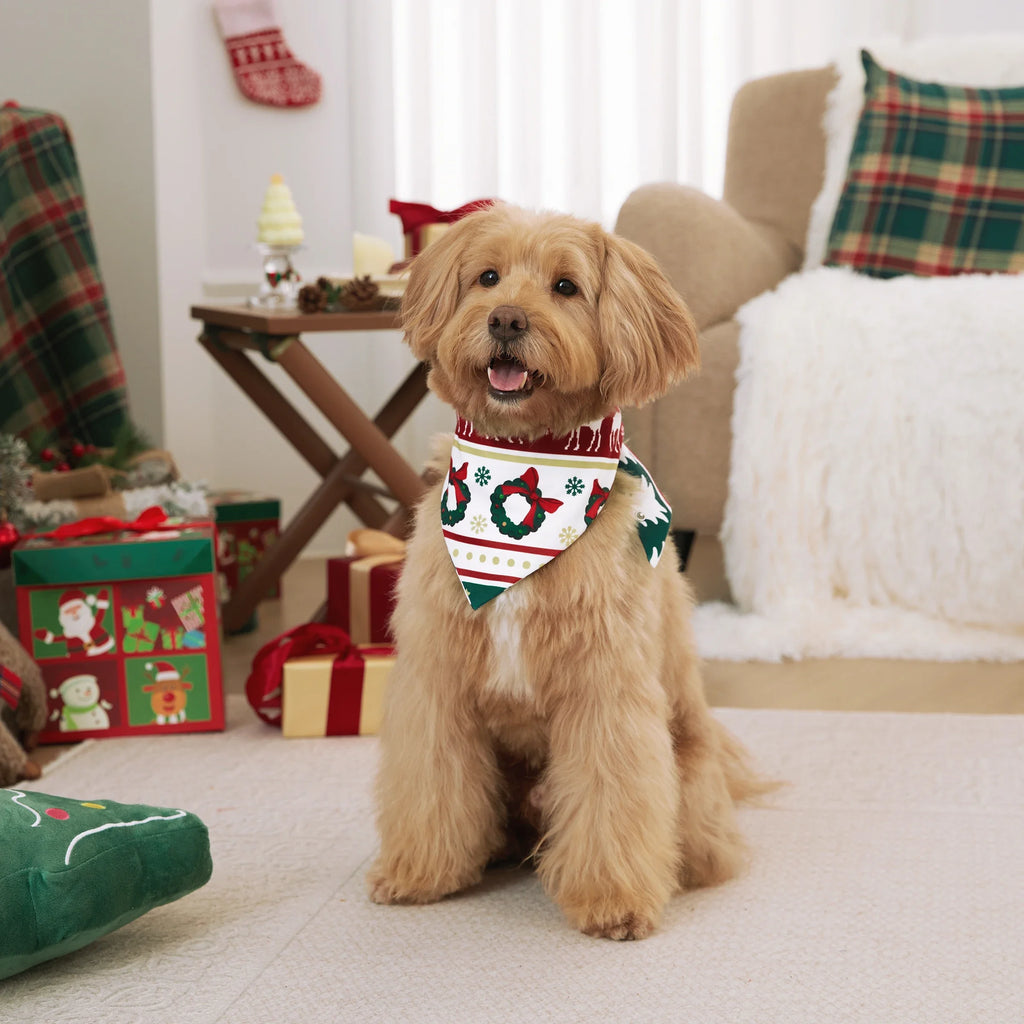 Family Christmas Pajamas Set